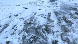 Рыбалка на Канонерском острове(На судака) 01.03.25