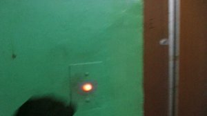 Лифт МЛЗ под. №1 @ Я.О. г. Переславль-Залесский, ул. Строителей, д. 31-1 (3)