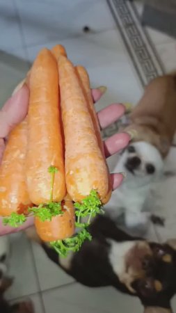 Сейчас дам.