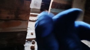 Соник приключение на потолке