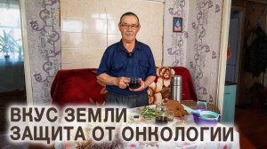 Профилактика рака. В термос крошим чагу