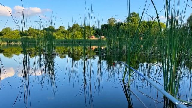 Як швидко та просто зловити багато карася. Риболовля т