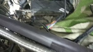 Установка Бинара на бензиновый Прадо 120 с двигателем 2,7