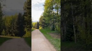 Влияние бьющих в участок дорог: примеры, эффекты, корр?