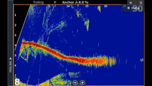 Ловля ПЕЛАГИЧЕСКОГО СУДАКА с ActiveTarget 2.Lowrance! Pelagic zander fish