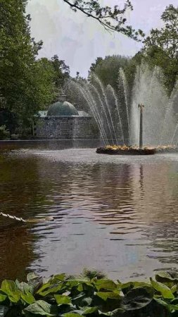 ПЕТЕРБУРГ! НИЖНИЙ ПАРК - Петергоф. Серия grad9