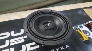 Обзор и прослушка сабвуфере DL Audio Anaconda 12"