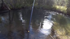 Осенняя рыбалка на хариуса сентябрь/ Хариус Клюёт из П