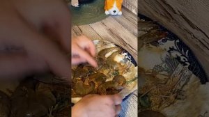 Готовим креветки в аэрогриле.  Не сложно😊 Попробуй.