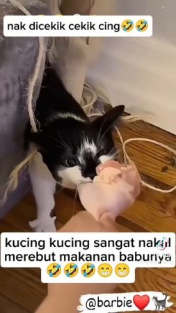Всем привет! Улыыы-Бнись!.. 🤣