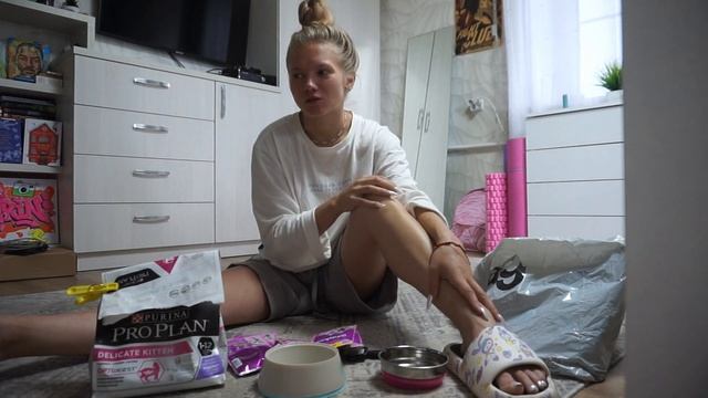 88. ЗНАКОМЬТЕСЬ КОТЕНОК ТЯПА!  купили робот - пылесос н