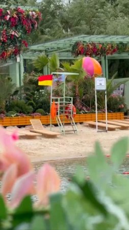 🏖️Пляж для купания открыли в парке Горького у Пионерского пруда🏖️