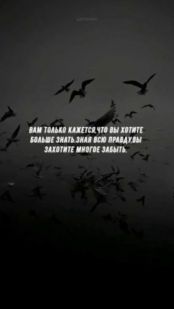 #871 Цитата дня. Мотивация.