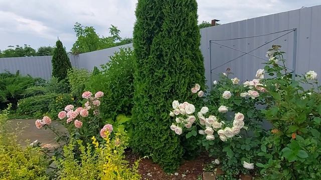Готовимся к отдыху... малосольные огурцы 😍🥰👍