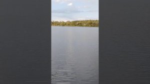 Рыбалка на реке Медведица, деревня Норбужье. #рыбачкик