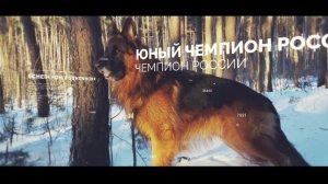 Щенки немецкой овчарки длинношерстной Торжок