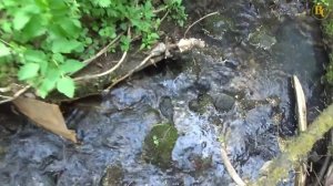 Поиск золота на старых отвалах.