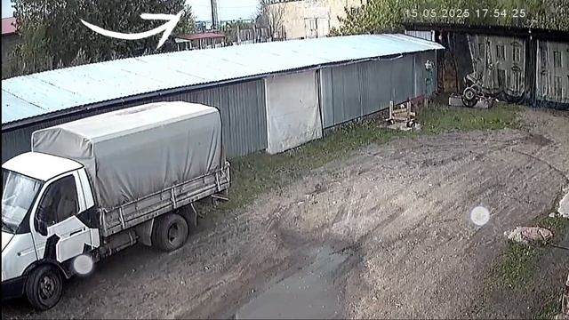 Говяжий стейк гриль (средней прожарки) упал с неба! смотреть онлайн