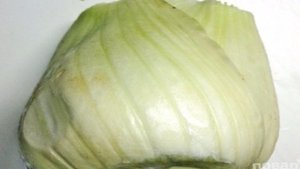 Жареный фенхель