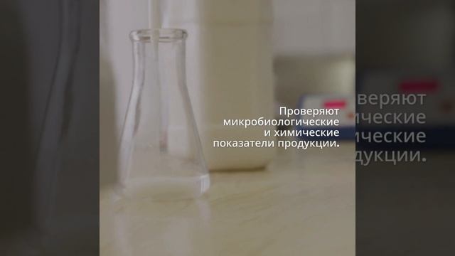 Сертификат безопасности пищевой продукции — этапы — сертификат-декларация.рф