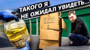 Контейнер за $50 / Купил кунсткамеру / Аукционы контейнеров в США