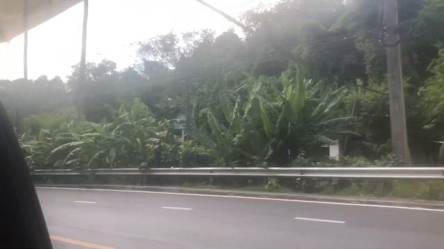 Адвокатские круизы. Anthem of the Seas. Ч.4 #royalcaribbean #круиз смотреть онлайн