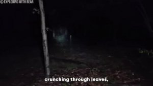 30 УЖАСАЮЩИХ Случаев на Кемпинге, Попавших на Камеру!