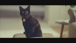 Реклама Heinz | Кетчуп Хайнц - Кот