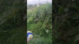 много клёвых бросков с мячом
