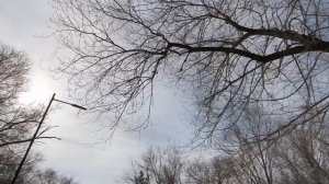 За праздничным столом свекровь объявила, что завещает