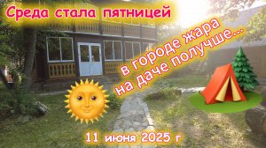 Среда вдруг стала пятницей - мы на даче 11 июня 2025 г