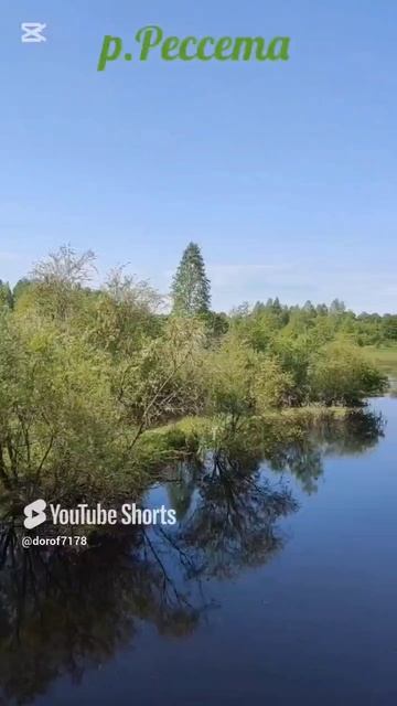 Соло вело маёвка лесами трёх областей / Калужская область #велотрип #велопоход #велопутешествие