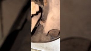 Geely Atlas 1, 2018г задний плавающий сайлентблок, не крутится