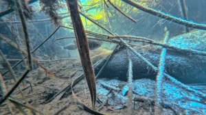 Опустил камеру на дно заброшенного пруда и обнаружил ?