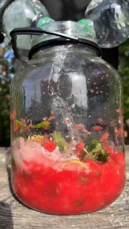 Арбузный мохито #рецепты #напиток #viprecept    🍉арбуз 🌿мята 🍋🟩лайм 💧спрайт