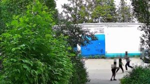 ‼️В Подмосковном Хотьково юный водитель на питбайке сбил мальчика, который шел по дороге‼️