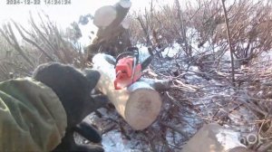 мотобуксировщик sharmax еду на реку за дровами