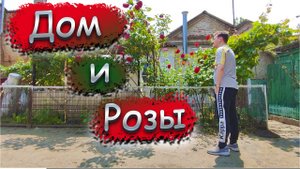 Дом и розы. Дайджест 05.06.2025