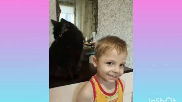 "Мой пушистый друг" Группа 15 смотреть онлайн