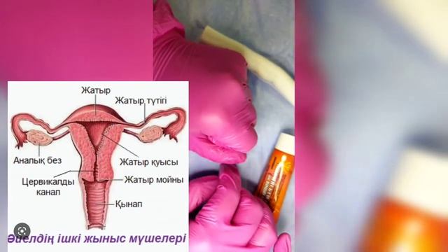 Иллюстрациялар, суреттер, фантастикалық секс Қытай тіліндегі секс-шоу