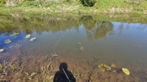 Легкие кастинговые удилища KUYING тест на воде и немножк?