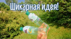 Почему я Раньше до этого не додумался, Как сделать Капельный полив за 3 минуты!