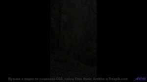 Ты не поймешь, что такое настоящая красота, пока не увидишь это! - Strawberries -- Brock Tyler -- Us