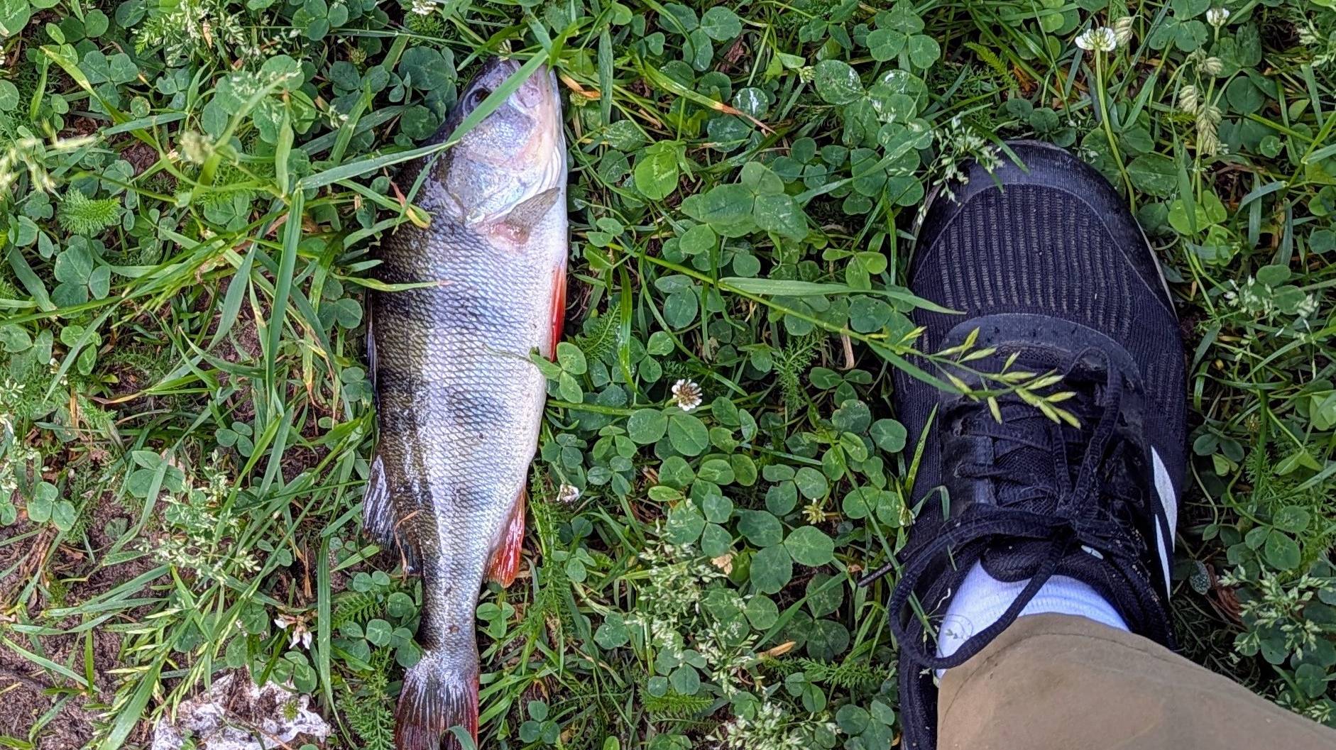 Открытие рыболовного сезона. 11.06.2025 смотреть онлайн