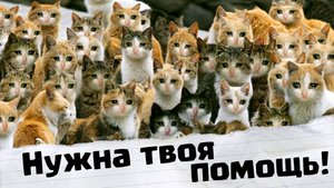 Коты потерялись! Помоги им вернуться  | Арт-детектив для детей (6-10 лет) | История искусства весело