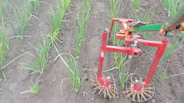 Культиватор Лан. Прополка в ряду. смотреть онлайн