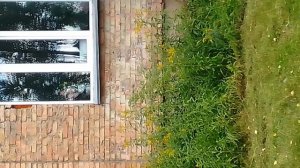 п. Бор Туруханский р он школа.