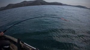 Троллинг Симы. Находка, залив восток. Открыли Счет!