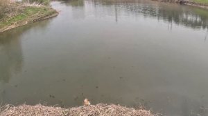 рыбалка без понтов