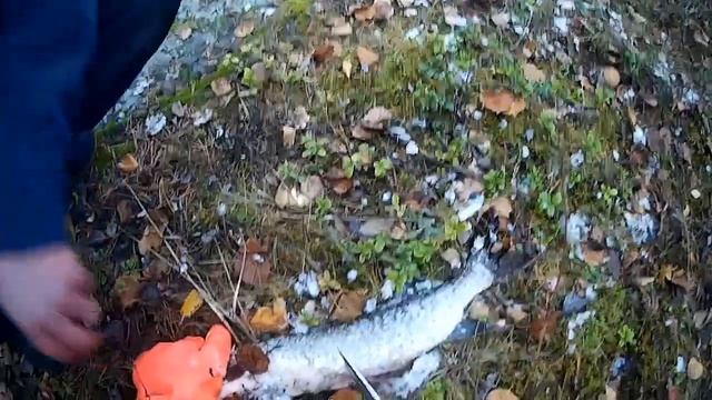 ЗАБЫЛ ВЫКЛЮЧИТЬ КАМЕРУ И СНЯЛ КАК..... смотреть онлайн